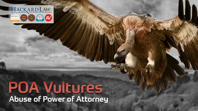 POA-Vultures-YouTube